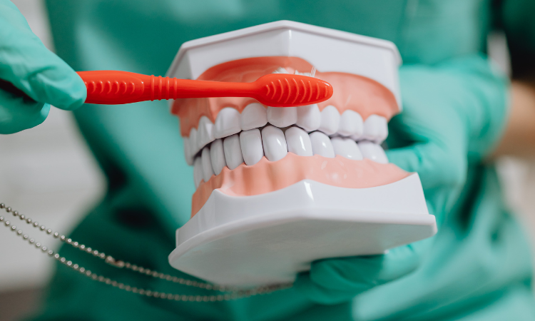 Bleeding gums often signal underlying oral health issues. Understanding the causes can guide you toward proper care.